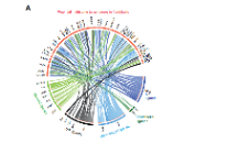 SXR2023030022C_13+的细胞互作思路推荐