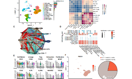 手里只有十几个样本怎么能蹿出个大活儿？