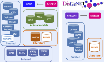 DisGeNET数据库：和疾病相关基因跨越十年的爱情长跑