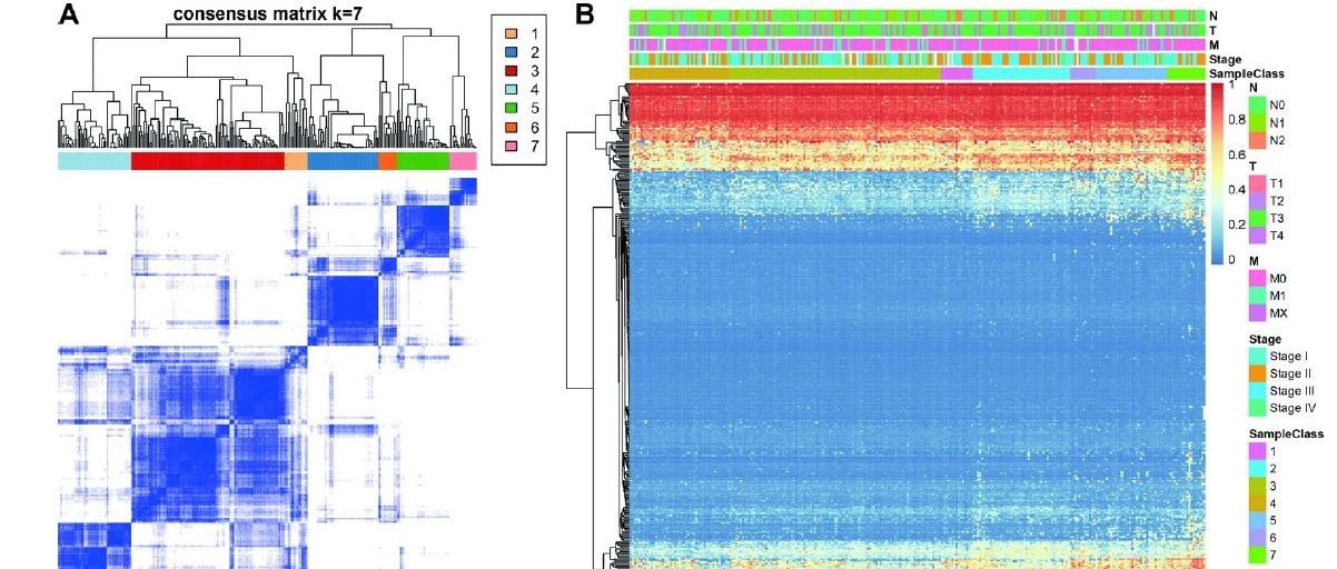 做生信分析，需要认真，哪怕灌水，也要认真。。。