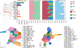 SXR202305016C+影响因子10+泛癌T细胞整合研究，10+纯生信。