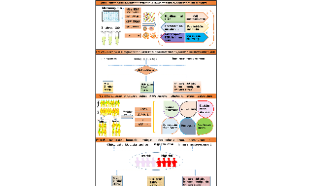 SXR202302030C-哈哈-DDR在阿尔兹海默症中扮演着何种角色？