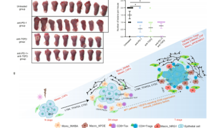 从生信的视角揭示癌症的前世今生 — 癌前病变篇