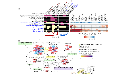 SXR2023030029C-SHZ-Nat Gen  蛋白质互作组为药物发现和靶点再利用提供新机会