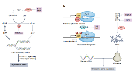 最新高分热点来袭，不看后悔