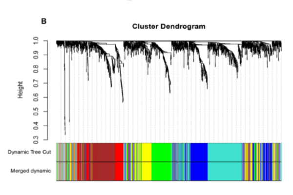 核心基因流程测试服务